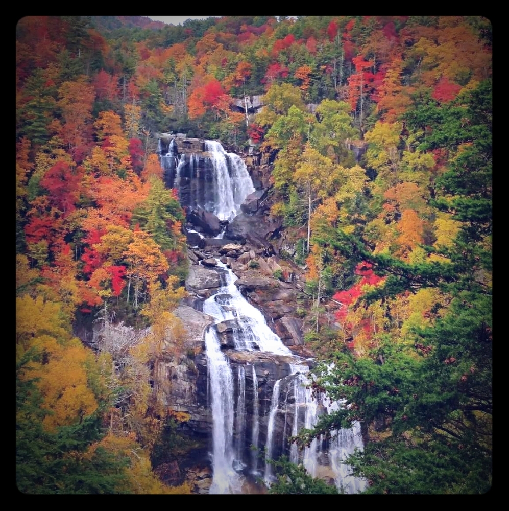 Meet your Posher, Brent